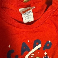 カープ親子セットの画像