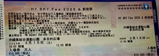 HYスカイチケット3/15日