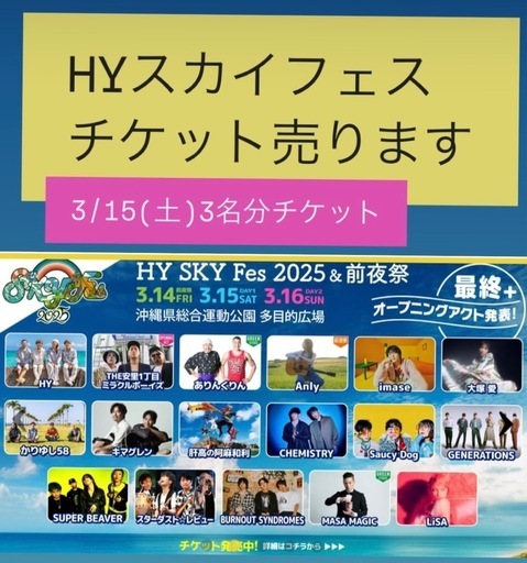 HYスカイチケット3/15日