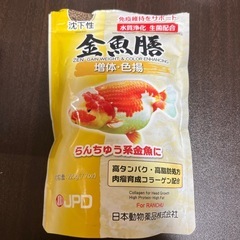 31 金魚膳
