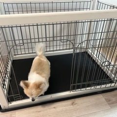 ペット　ゲージ　ペットサークルの画像