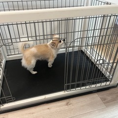 ペット　ゲージ　ペットサークルの画像