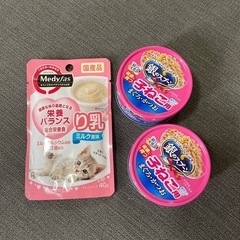 子猫用のご飯