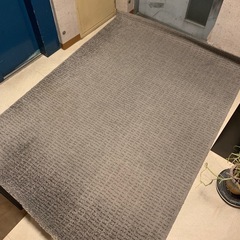 IKEA LANGSTED ラグ