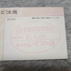 レオマワールド バイキング招待券２枚 レオマの森の画像