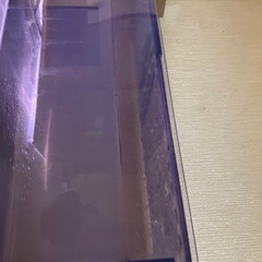 大型水槽　水槽のみ  早急の画像