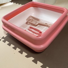大きい猫トイレの画像