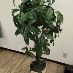 【価格再設定】フェイクグリーン　各種の画像