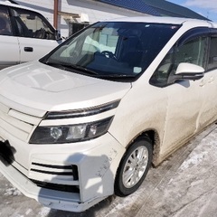 Voxy の画像