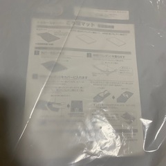 【新品未使用未開封】②ミニトゥルースリーパー ごろ寝マット カバー付きの画像