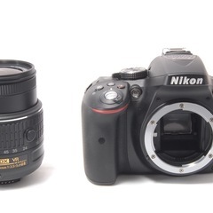 人気商品✨美品 Nikon D5300 レンズキット 画面回転　自撮りOKの画像
