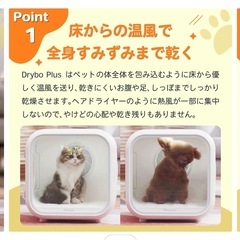 ペットドライヤーの画像