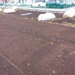 家庭菜園　貸し農園　サポート付き　楽農ライフの画像