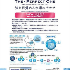 マルカン THE・PERFECT ONE うさぎ専用フード メンテナンス 900g ML-390の画像