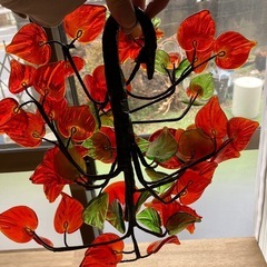 ガラスの花の画像