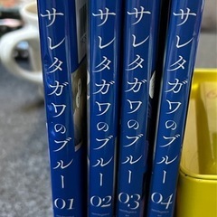 サレタガワノブルー