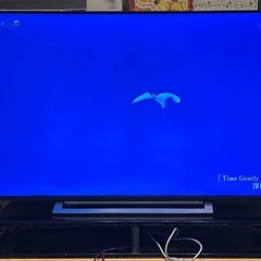 東芝 REGZA 55M530X 2019年製 4K液晶テレビ
