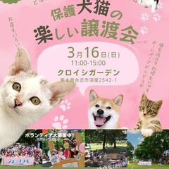🐱3月16日（日）はジョートフルの楽しい保護犬猫譲渡会！クロイシ...