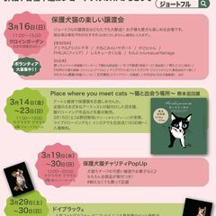 🐱3月16日（日）はジョートフルの楽しい保護犬猫譲渡会！クロイシガーデン（合志市）にて🐶 - 合志市