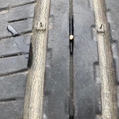 165/50/r15の画像