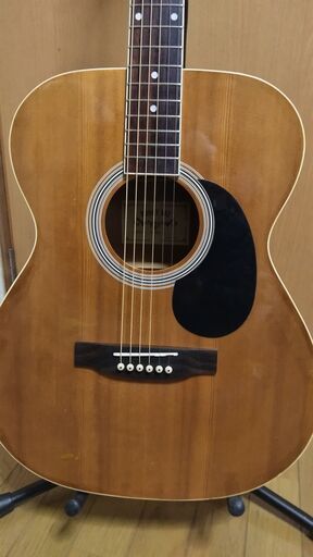 ❤️弦高調整済「HONEYBEE ハニービー F-15/N」o(^o^)o いい！