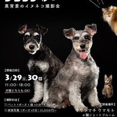 黒背景のペット撮影会「ドイブラック」3/29（土）〜3/30（日）サクラマチ クマモトにて。予約受付中！今回は家族写真もOK！ - 熊本市