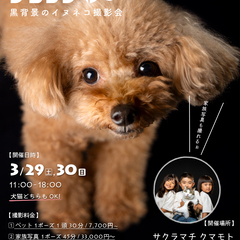 黒背景のペット撮影会「ドイブラック」3/29（土）〜3/30（日）サクラマチ クマモトにて。予約受付中！今回は家族写真もOK！ - その他