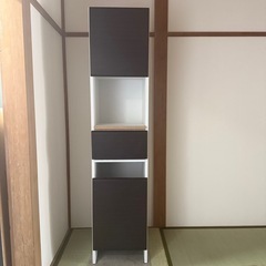 隙間収納庫　フロンティア40