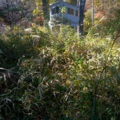 140坪の小屋の付いた山林。 - 北杜市