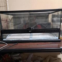 美品　格安　爬虫類ケージ　付属品付き　EXO TERRA　60×45×30 の画像
