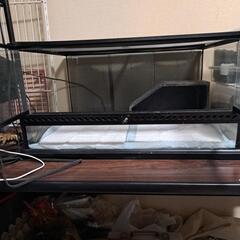 美品　格安　爬虫類ケージ　付属品付き　EXO TERRA　60×45×30 の画像