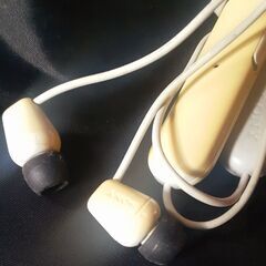 🎧️SONY WI-100 ワイヤレスイヤホン Bluetoothイヤホン の画像