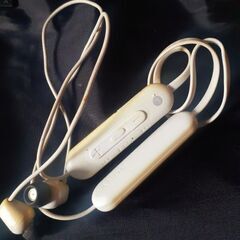 🎧️SONY WI-100 ワイヤレスイヤホン Bluetoot...