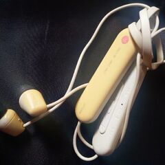 🎧️SONY WI-100 ワイヤレスイヤホン Bluetoothイヤホン の画像