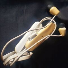 🎧️SONY WI-100 ワイヤレスイヤホン Bluetoothイヤホン の画像