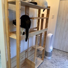 木製（お手製）キャットタワーの画像