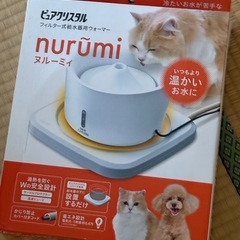 ヌルーミィ 