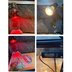 グラステラリウム9045【最終値下げ】の画像