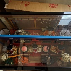 豪華 ひな人形 ケース入り 7人飾り 68cm幅 雛祭り 収納箱付き 美品の画像