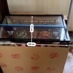 豪華 ひな人形 ケース入り 7人飾り 68cm幅 雛祭り 収納箱付き 美品の画像