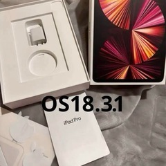 美品iPad Pro (第3世代)128GB Cellular+...