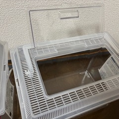 新品 プラ 水槽(ダイソー) ペット 魚 虫
の画像