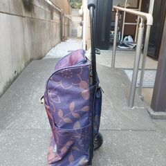 ショッピングカート（保冷機能付き）の画像