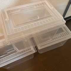 中古 プラ 水槽 ダイソー 虫 魚 3個セットの画像