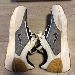 ナイキ NIKE ジョーダン GRANVILLE PRO 28.0の画像