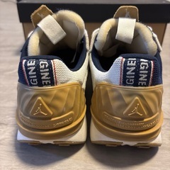 ナイキ NIKE ジョーダン GRANVILLE PRO 28.0の画像