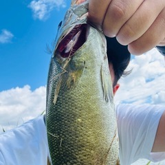 埼玉　バス釣り等愛好会