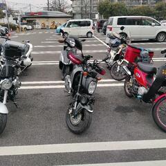 ✨バイクツーリング(原付２種　女性は250ccまでOK)