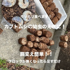 カブトムシ幼虫の餌に！シイタケ廃菌床ブロック