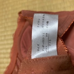 刺繍入りローズ色ブラジャーの画像